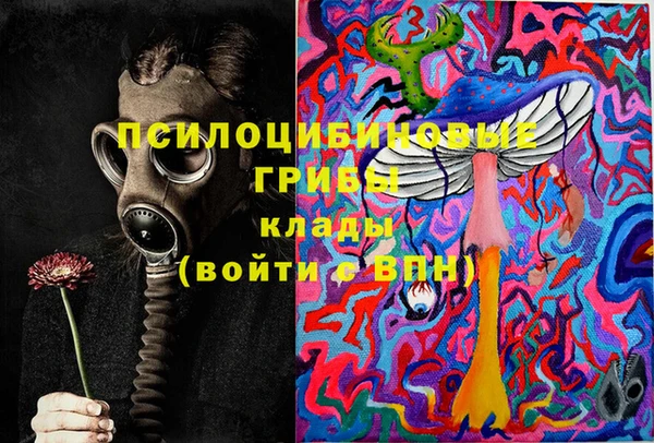 МДПВ Белокуриха