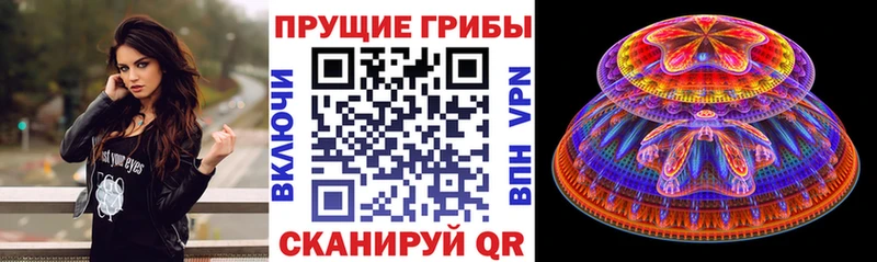 Галлюциногенные грибы Psilocybine cubensis  купить   блэк спрут   Вольск 